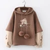 Kawaii Therapy Clothing<Kawaii Japanese Style Bear Embroidery Hoodie – Limited Edition