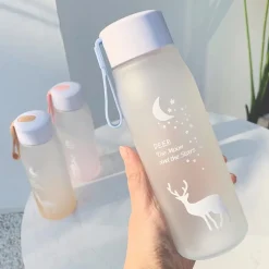 Kawaii Therapy Bottles<Kawaii Reindeer Starry Sky Bottle (500ml)